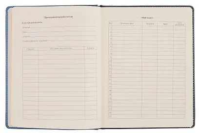 Дневник шк. "Кассетный плеер" 7БЦ, иск.кожа, полноцв.печать, тиснение фольгой, ляссе - фото 5