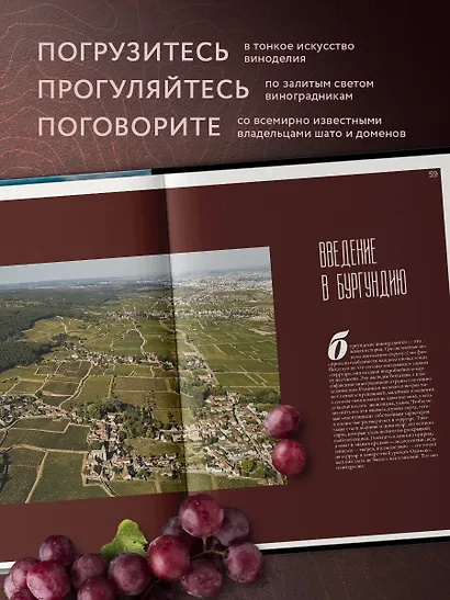 Франция. Лучшие Шато и домены. Престижные винные хозяйства Бордо Бургундии и Шампани - фото 5