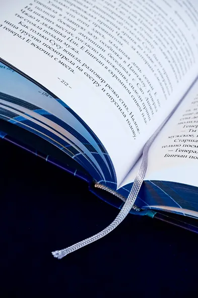 Светлый пепел луны. Книга 2. Новелла (коллекционное издание) - фото 15