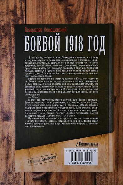 Боевой 1918 год - фото 6