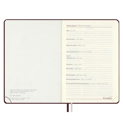 Ежедневник дат. 2026г. А5 176л "Тиволи глосс" бордовый, кожзам, тв.переплет, блинт.тиснение, офсет, справ.мат-лы, вырубка, закругл.углы, 2 ляссе, инд.уп - фото 6