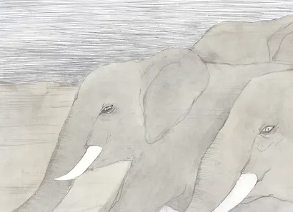 Прайд Ванини - фото 15