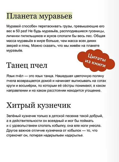 Насекомые и пауки. Детская энциклопедия (Чевостик) - фото 7