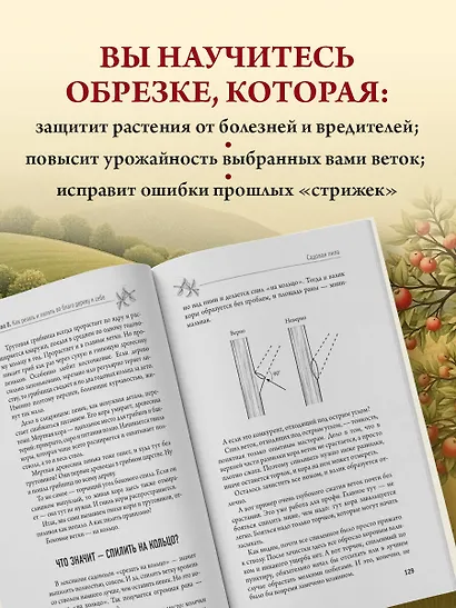 Обрезка и формировка деревьев и кустарников - фото 7