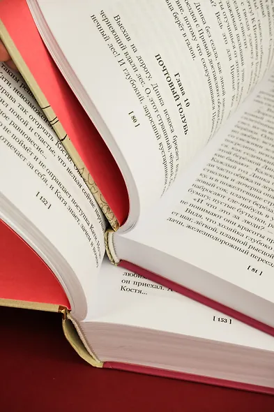 Динка. Динка прощается с детством. В 2 томах (комплект) - фото 12