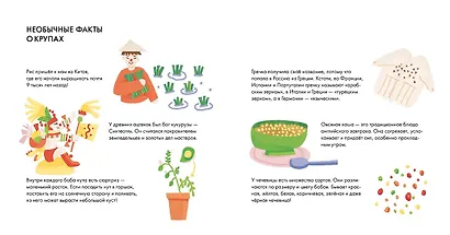 Я знаю, что я ем. Крупы - фото 6