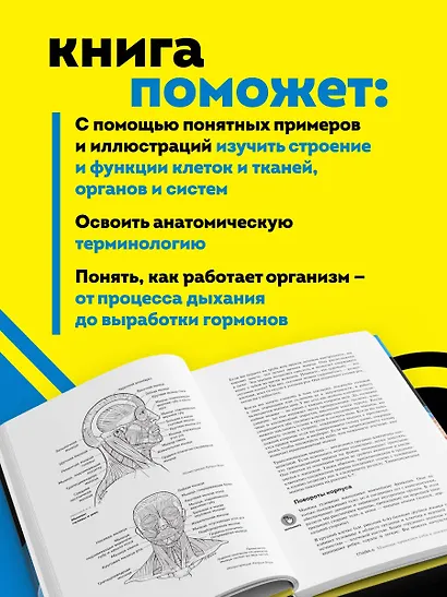 Анатомия и физиология для чайников - фото 5