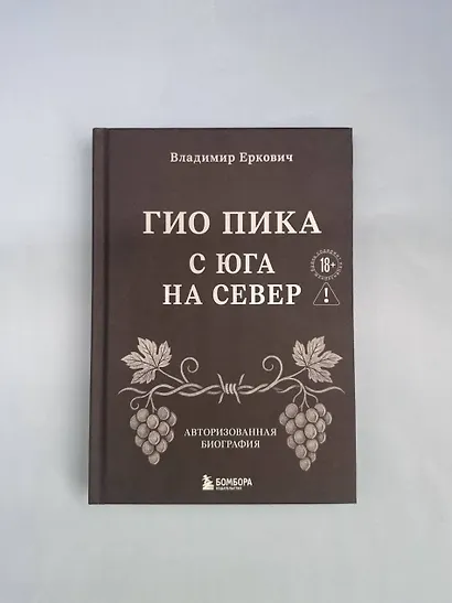 Гио Пика: с юга на север. Авторизованная биография - фото 11