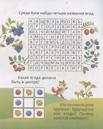 Логические игры и задачи. Приключения бурундука Рундика: для детей от 6 лет - фото 5