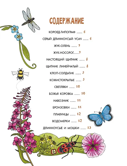 Насекомые - фото 8