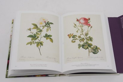 Redoute. Book of Flowers: 40th Anniversary Edition - фото 6