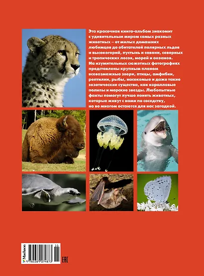 Моя большая книга о животных - фото 2