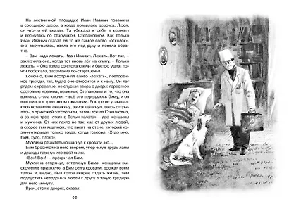 Белый Бим Чёрное ухо - фото 10