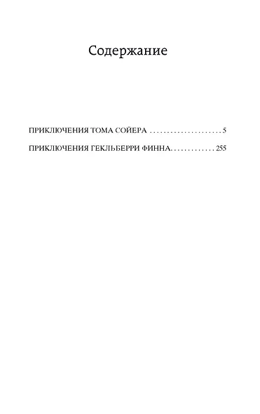 Приключения Тома Сойера и Гекльберри Финна - фото 6