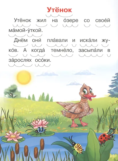 Как Мишутка помог белке - фото 3