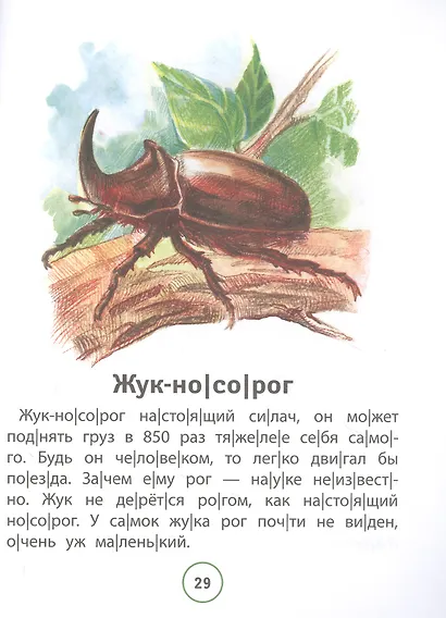 Познавательные тексты для чтения: насекомые - фото 4