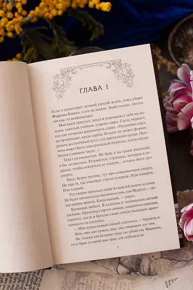 Дочь врага - фото 9