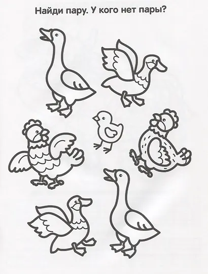 Домашние животные (многоразовые раскраски с прописями). - фото 3