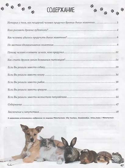 Домашние питомцы и кто за них в ответе - фото 2