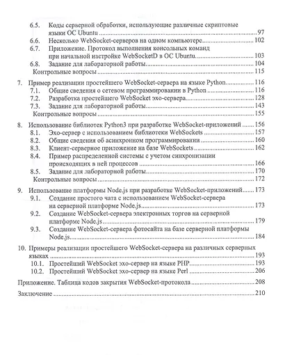 Построение распределенных систем на базе WebSocket. Учебное пособие - фото 3