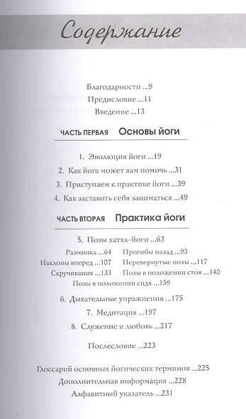Большая йога - фото 2