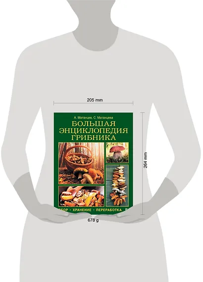 Большая энциклопедия грибника: сбор, хранение, переработка - фото 3