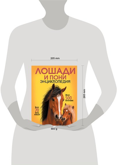Лошади и пони - фото 7