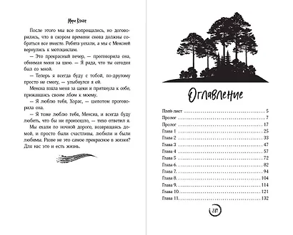 В погоне за счастьем - фото 12