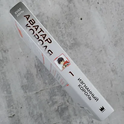 Аватар короля. Изгнанный король. Книга 1 - фото 8