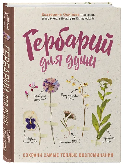 Гербарий для души: сохрани самые теплые воспоминания - фото 3