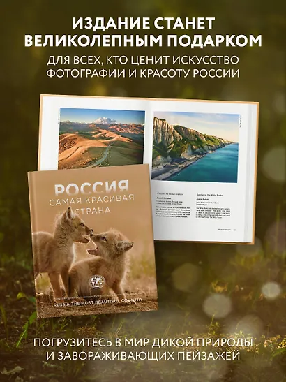 Россия самая красивая страна. Фотоконкурс 2025 - фото 7