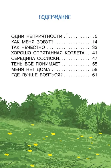 Котёнок по имени Гав - фото 4