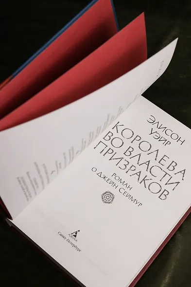 Королева во власти призраков. Роман о Джейн Сеймур - фото 10