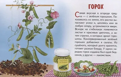 Овощи. Обучающие карточки - фото 2