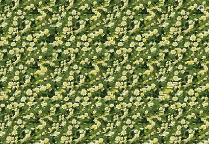 Асборн - карточки. Стереокартинки для всей семьи - фото 2