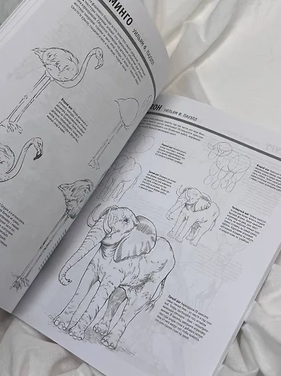 Основы рисования - фото 7