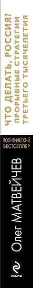 Что делать, Россия? Прорывные стратегии третьего тысячелетия - фото 3