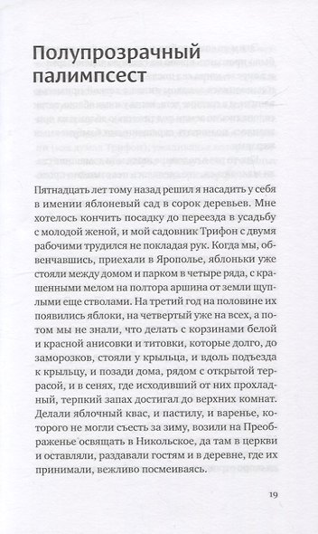 Полупрозрачный палимпсест: рассказы, эссе и заметки - фото 3