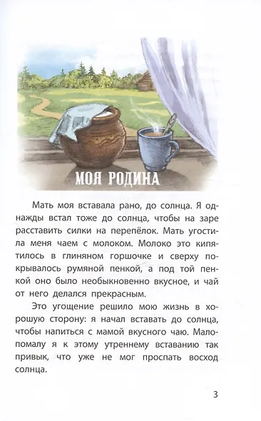 Моя Родина. Рассказы - фото 4