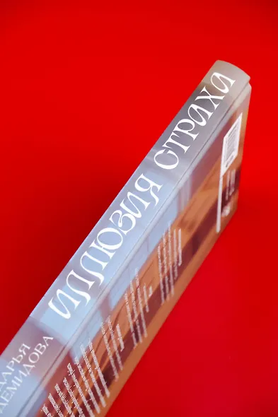 Иллюзия страха - фото 8