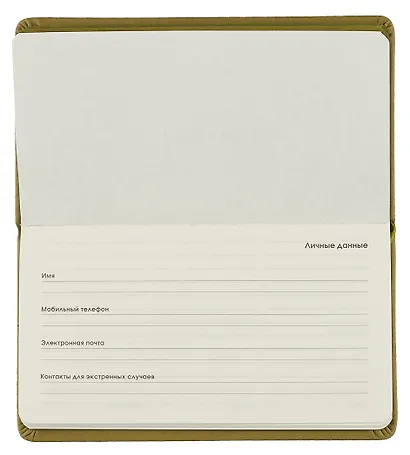 Планинг недат. 64л "Joy Book" оливковый, карманный, иск.кожа 7Б, скругл.углы, тонир.блок, резинка, офсет, ляссе - фото 3