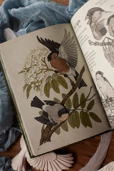 Птицы леса. Артбук - фото 12