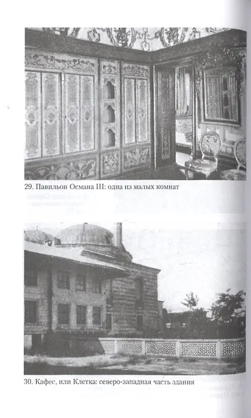 Гарем. История, традиции, тайны - фото 3