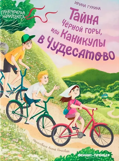 Тайна Черной горы, или Каникулы в Чудесатово - фото 1