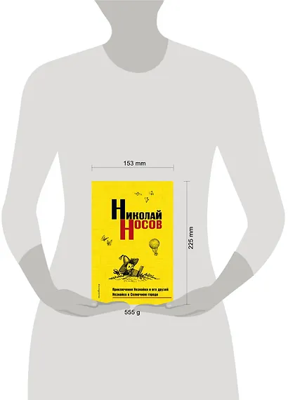 Приключения Незнайки и его друзей. Незнайка в Солнечном городе - фото 4