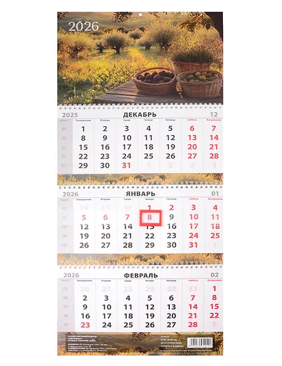 Календарь квартальный 2026г 297*695 "Сады Прованса" настенный, трёхблочный, спираль - фото 1