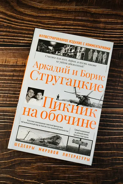 Пикник на обочине. Иллюстрированное издание с комментариями - фото 5