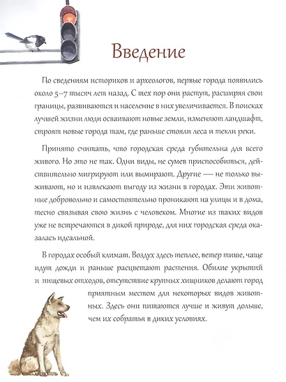 Животный мир городов - фото 4