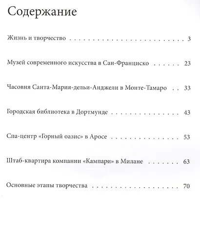 Ботта - фото 2