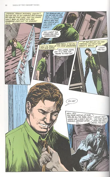 Saga of the Swamp Thing. Book Four - фото 2